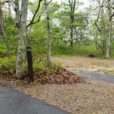 Review photo of Nickerson State Park Campground by Jean C., May 31, 2020