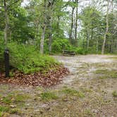 Review photo of Nickerson State Park Campground by Jean C., May 31, 2020