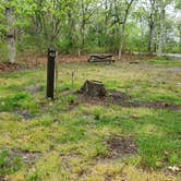 Review photo of Nickerson State Park Campground by Jean C., May 31, 2020