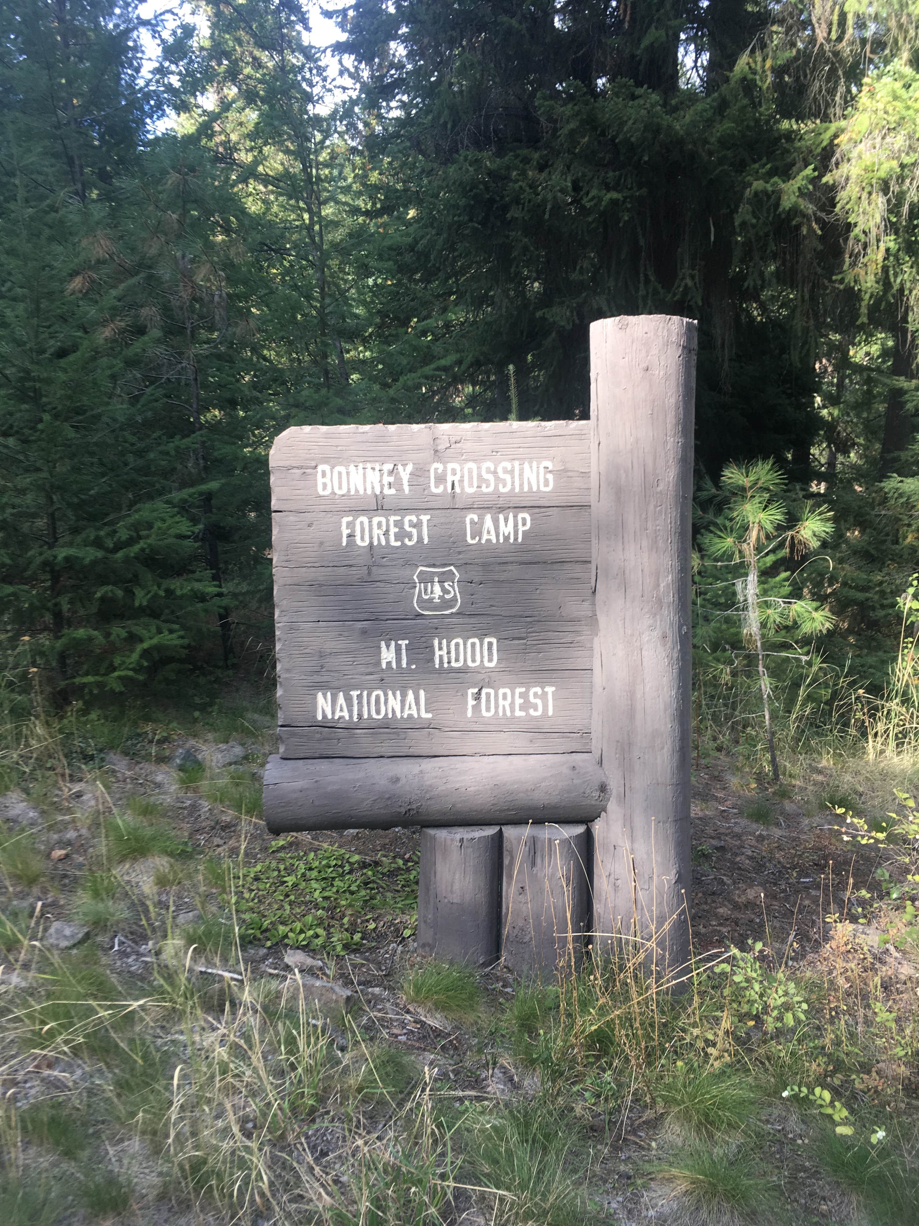 Camper-submitted photo at Bonney Crossing near Rhododendron, OR