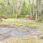 Review photo of Nickerson State Park Campground by Jean C., May 31, 2020