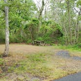 Review photo of Nickerson State Park Campground by Jean C., May 31, 2020