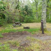 Review photo of Nickerson State Park Campground by Jean C., May 31, 2020