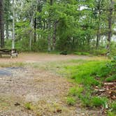 Review photo of Nickerson State Park Campground by Jean C., May 31, 2020