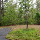 Review photo of Nickerson State Park Campground by Jean C., May 31, 2020