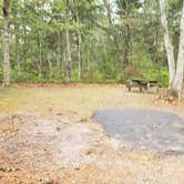 Review photo of Nickerson State Park Campground by Jean C., May 31, 2020