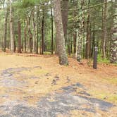 Review photo of Nickerson State Park Campground by Jean C., May 31, 2020