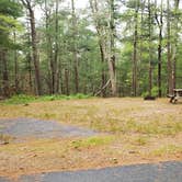 Review photo of Nickerson State Park Campground by Jean C., May 31, 2020