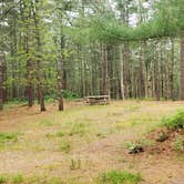 Review photo of Nickerson State Park Campground by Jean C., May 31, 2020