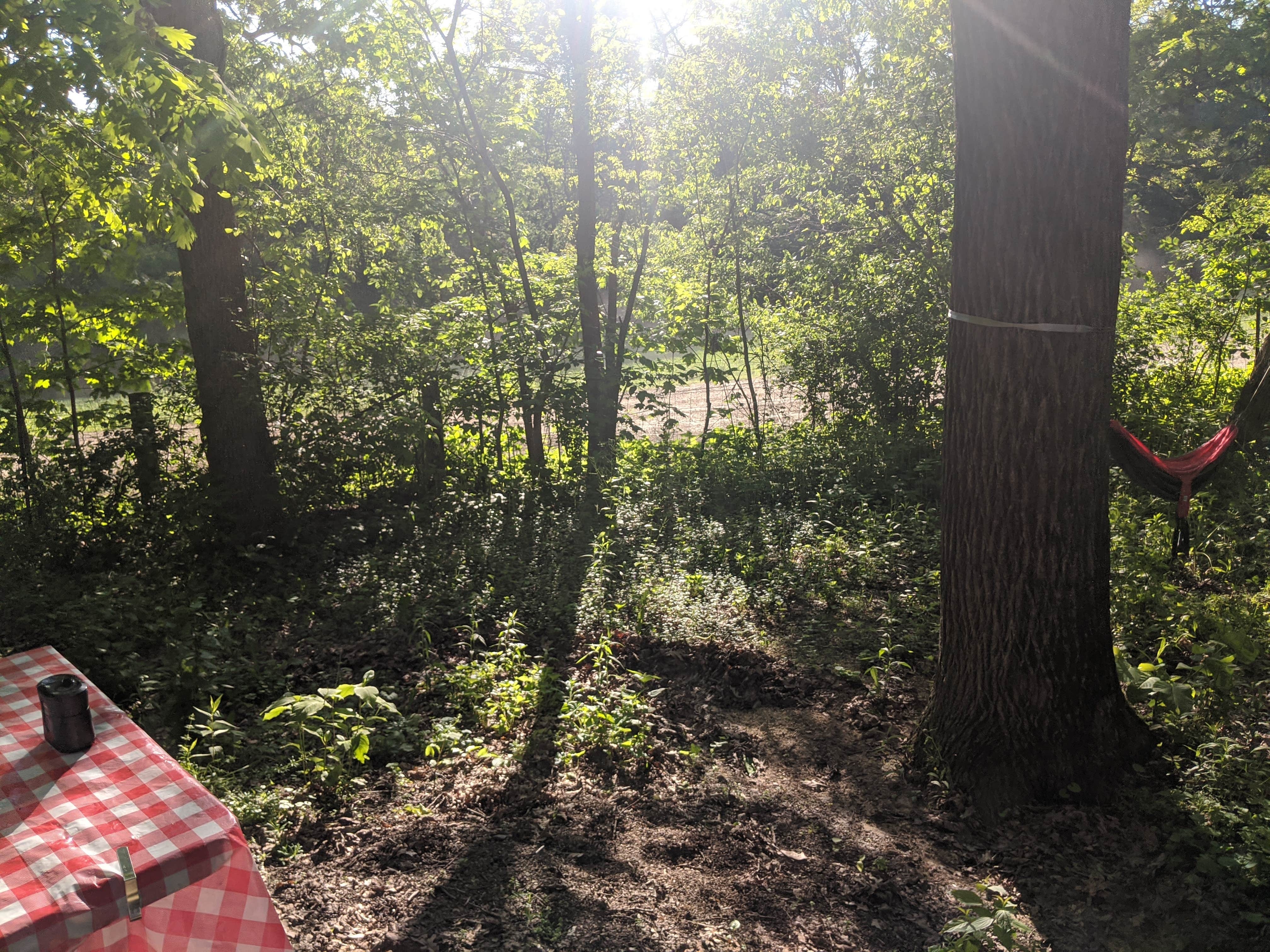 Camper-submitted photo at Pikes Peak State Park Campground in Iowa