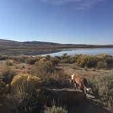 Review photo of Soda Lake WHMA by Daniel S., October 9, 2017