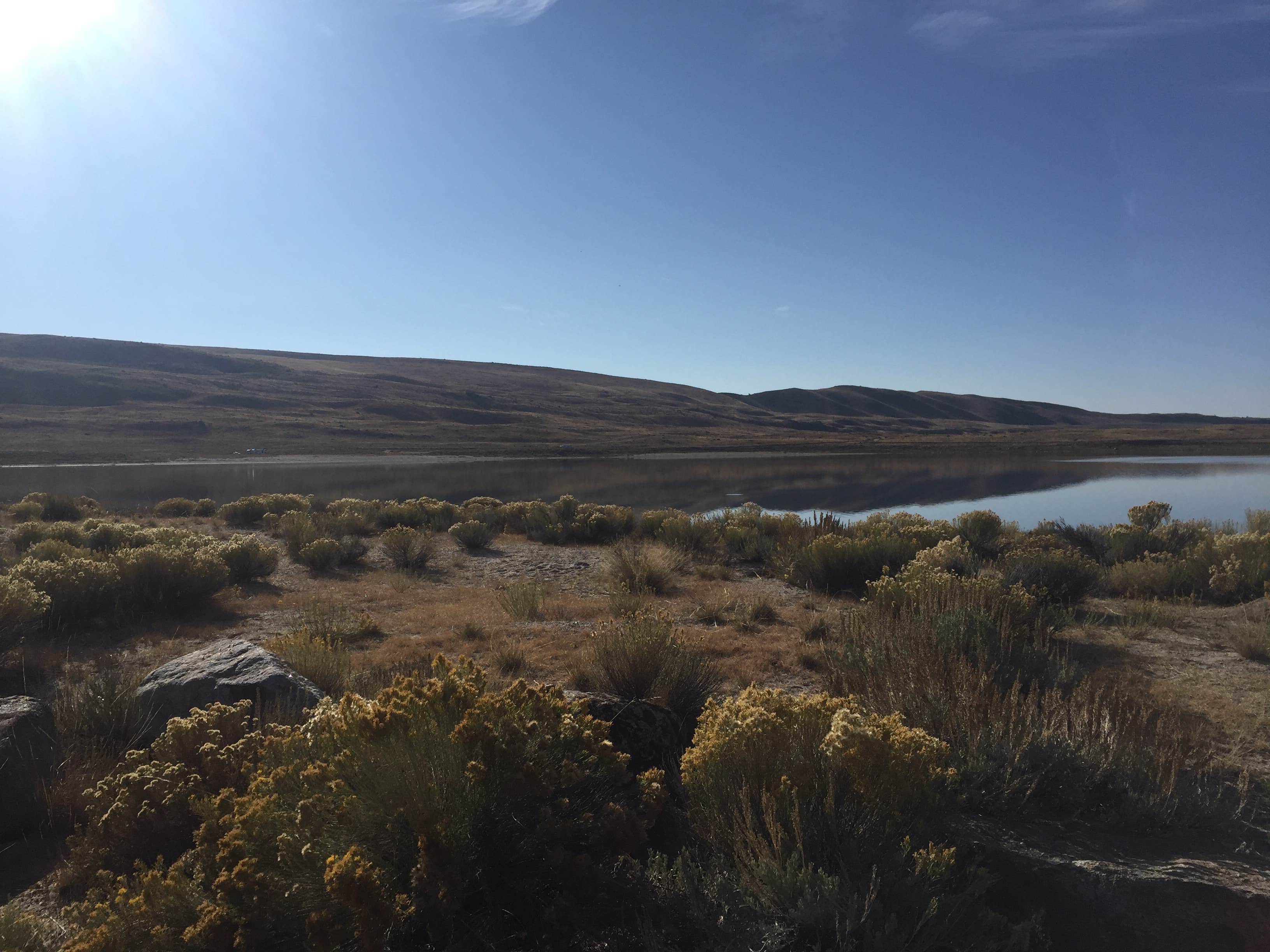 Soda Lake WHMA The Dyrt