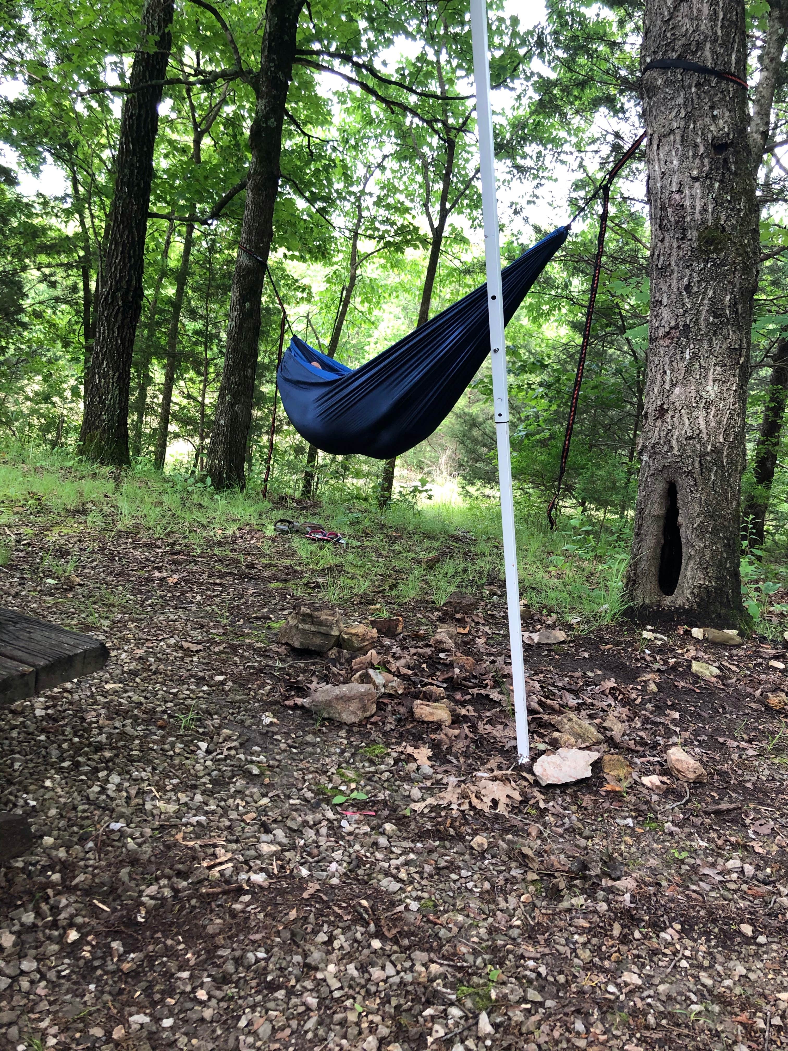 Camper-submitted photo at Holiday Island Camp Ground near Garfield, AR