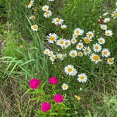 Review photo of Brookville Lake - Mounds State Recreation Area by Stacey S., May 31, 2020