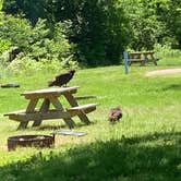 Review photo of Brookville Lake - Mounds State Recreation Area by Stacey S., May 31, 2020