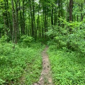 Review photo of Brookville Lake - Mounds State Recreation Area by Stacey S., May 31, 2020