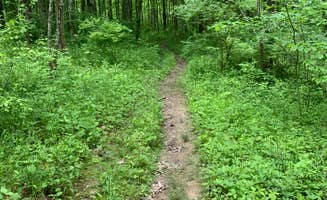 Stacey S.'s photo of camping with pets at Mounds State Recreation Area Campground — Brookville Lake near New Castle, IN
