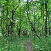 Review photo of Brookville Lake - Mounds State Recreation Area by Stacey S., May 31, 2020