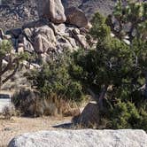 Review photo of Hidden Valley Campground — Joshua Tree National Park by Adam C., June 1, 2020