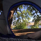 Review photo of Memaloose State Park by Alicia F., June 1, 2020