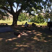 Review photo of Memaloose State Park Campground by Alicia F., June 1, 2020