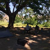 Review photo of Memaloose State Park Campground by Alicia F., June 1, 2020