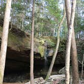 Review photo of Sipsey Wilderness Backcountry Site (Trail 200 Site K) by Asher K., June 1, 2020