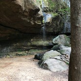 Review photo of Sipsey Wilderness Backcountry Site (Trail 200 Site K) by Asher K., June 1, 2020