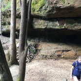 Review photo of Sipsey Wilderness Backcountry Site (Trail 200 Site K) by Asher K., June 1, 2020