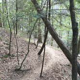 Review photo of Sipsey Wilderness Backcountry Site (Trail 200 Site K) by Asher K., June 1, 2020