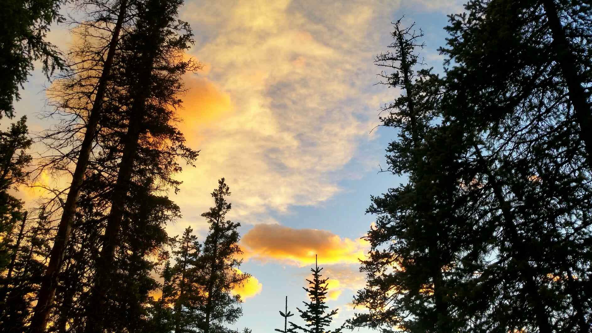 Camper submitted image from Little Molas Lake Campground - 1