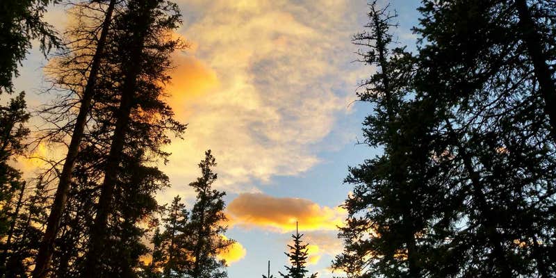 Camper submitted image from Little Molas Lake Campground