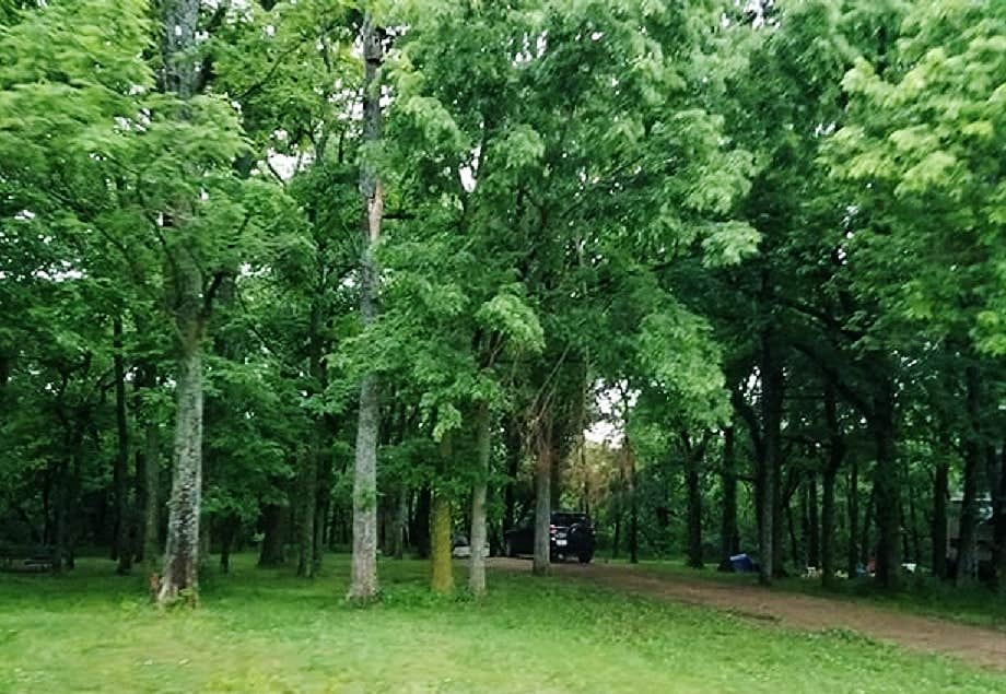 Camper-submitted photo at Prairie Clover Campground — Clinton State Park in Kansas