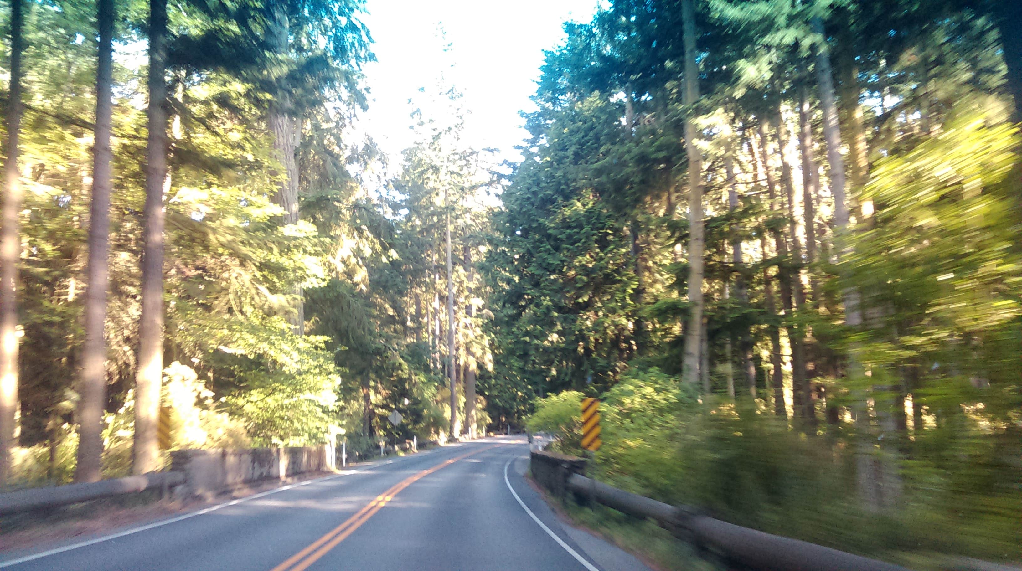 Camper submitted image from Deception Pass State Park Campground - 5