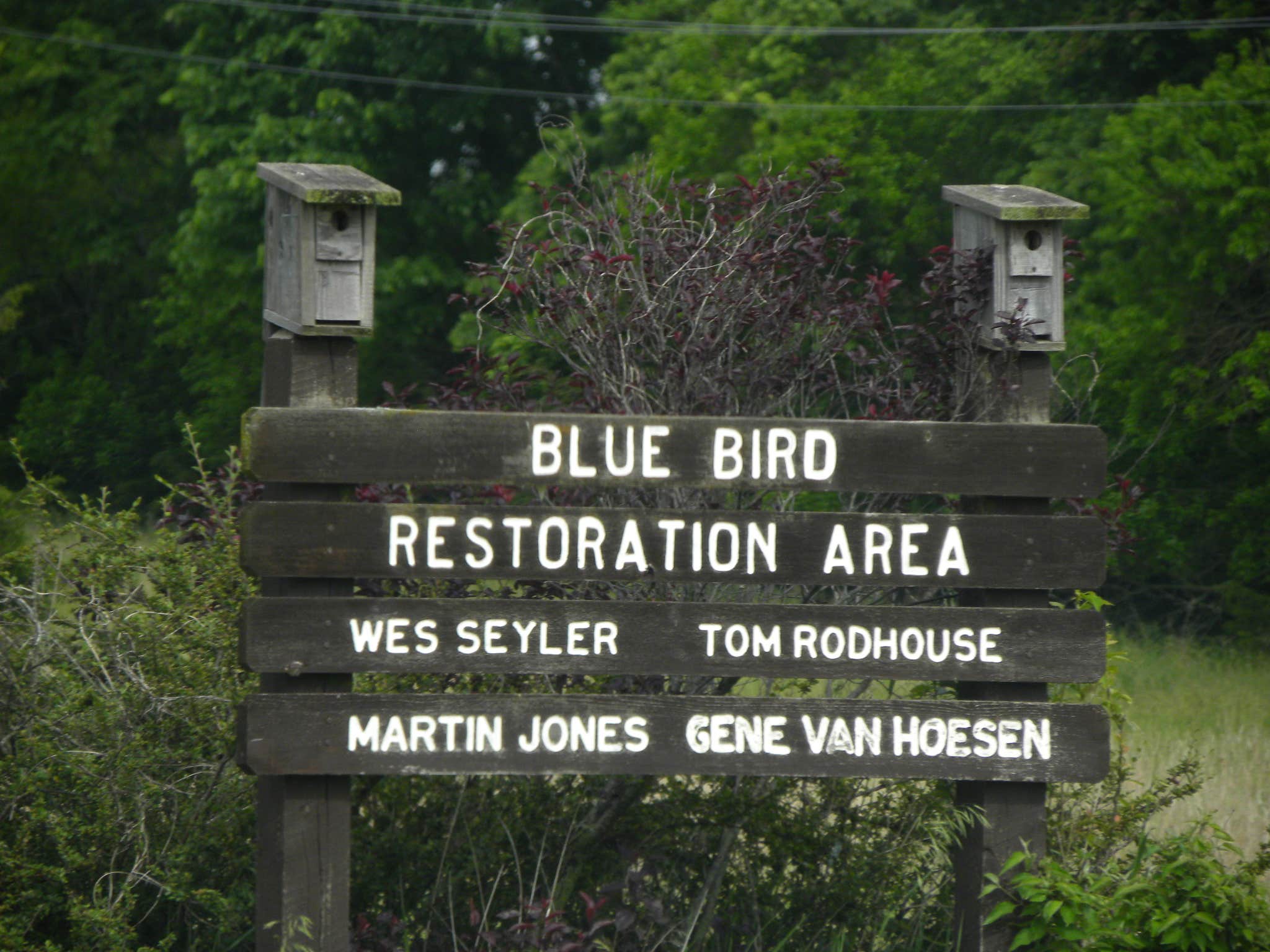 Prairie Clover Campground — Clinton State Park