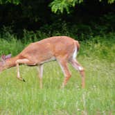 Review photo of Clinton State Park Campground by Myron C., June 1, 2020