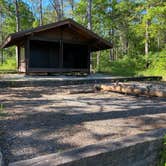 Review photo of Cheaha Falls Shelter by Asher K., June 1, 2020