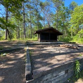 Review photo of Cheaha Falls Shelter by Asher K., June 1, 2020