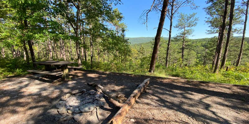 Camper submitted image from Cheaha Falls Shelter