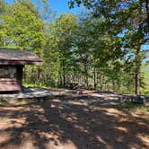 Review photo of Cheaha Falls Shelter by Asher K., June 1, 2020