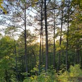 Review photo of Cheaha Falls Shelter by Asher K., June 1, 2020