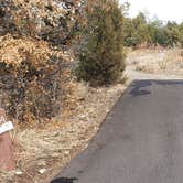 Review photo of Juniper Family Campground — Bandelier National Monument by Jean C., June 1, 2020