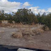 Review photo of Juniper Family Campground — Bandelier National Monument by Jean C., June 1, 2020