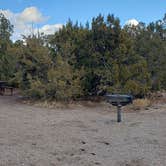 Review photo of Juniper Family Campground — Bandelier National Monument by Jean C., June 1, 2020