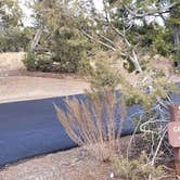 Review photo of Juniper Family Campground — Bandelier National Monument by Jean C., June 1, 2020