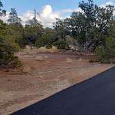 Review photo of Juniper Family Campground — Bandelier National Monument by Jean C., June 1, 2020