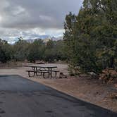 Review photo of Juniper Family Campground — Bandelier National Monument by Jean C., June 1, 2020