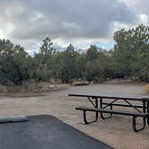 Review photo of Juniper Family Campground — Bandelier National Monument by Jean C., June 1, 2020