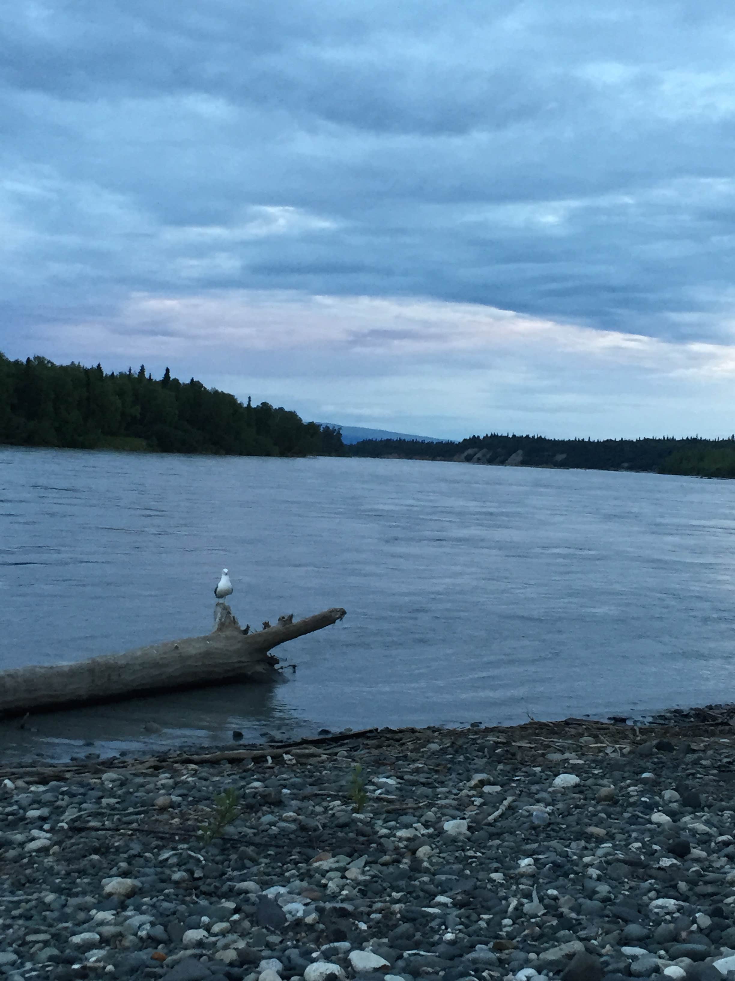 Camper-submitted photo at Three Bears Trapper Creek Inn & RV Park near Talkeetna, AK