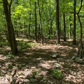 Review photo of Chinnabee Silent Trail Backcountry Site 1 by Asher K., June 1, 2020